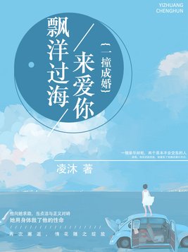 飘洋过海来爱你：一撞成婚