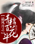 最风月之青楼百花斗