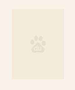 修仙：必须双修