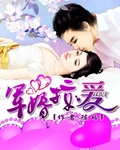 军婚掠爱