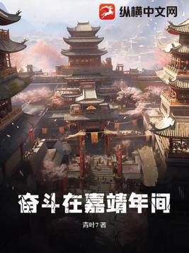 奋斗在嘉靖年间