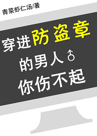 穿进防盗章的男人你伤不起