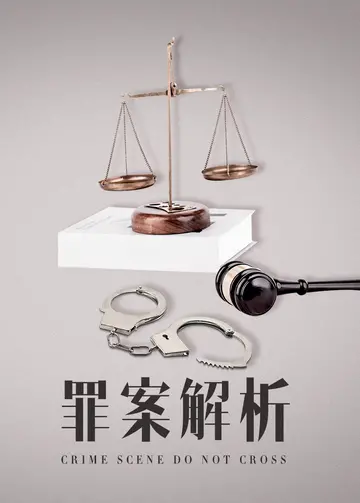 罪案解析