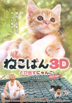 小猫跳出来3D