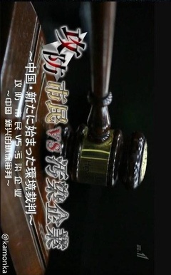 中国环境诉讼攻防