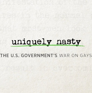 Uniquely Nasty: The U.S. Government's War on Gays