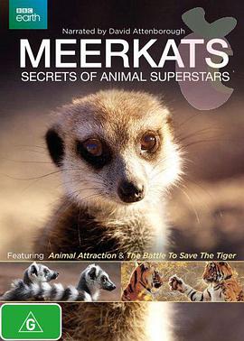 meerkatssecretsofananimalsuperstar