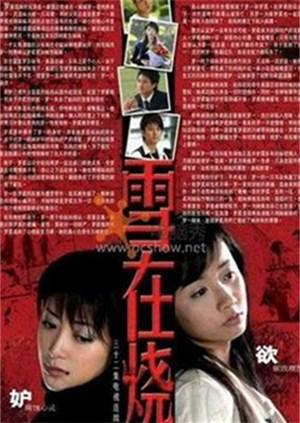 雪在烧2007