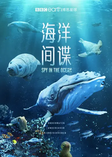 海洋间谍