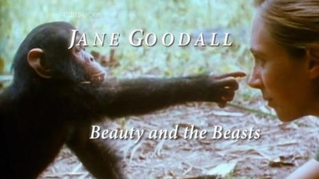 BBC:珍·古道尔—美女与野兽
