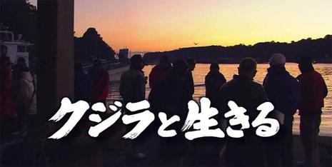 与鲸共生:海豚湾太地町的六个月