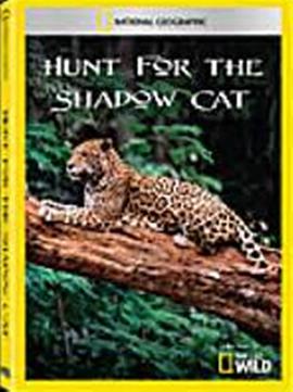 huntfortheshadowcat