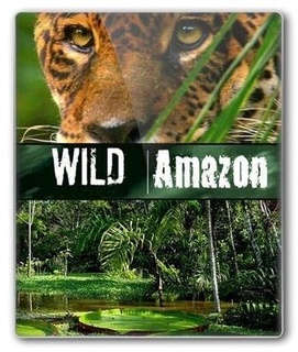 国家地理 亚马逊