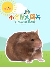 小仓鼠大闯关之丛林篇第一季