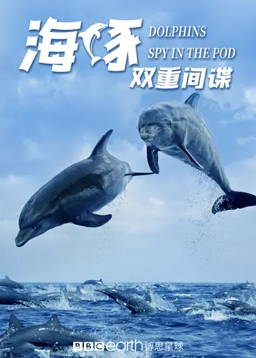 海豚双重间谍