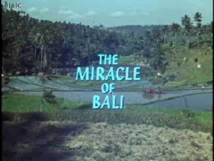 The Miracle of Bali