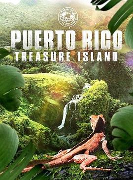 puertoricotreasureisland