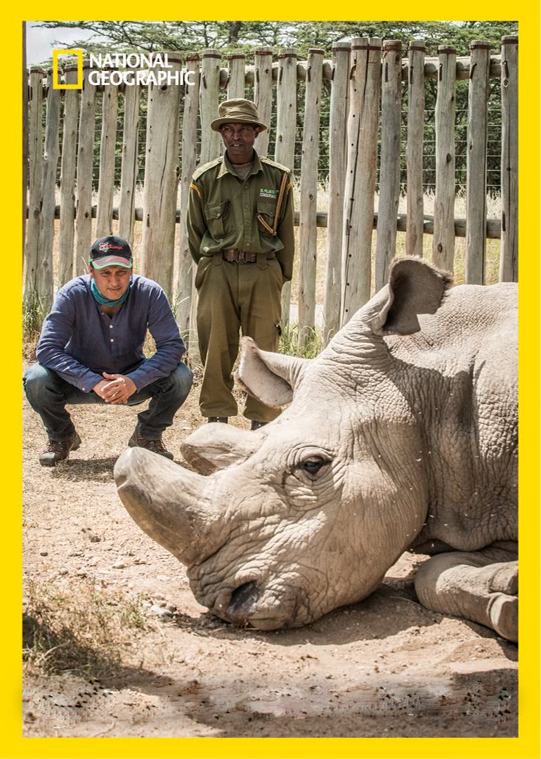 巨星环境保卫战第二季