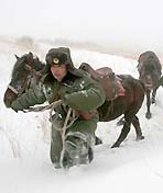 走进天边季节哨