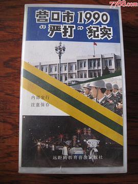 营口市1990“严打”纪实