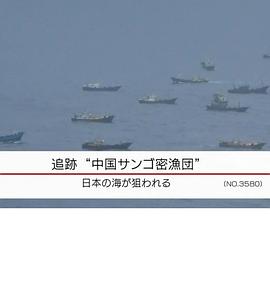 追踪中国渔民珊瑚盗采团