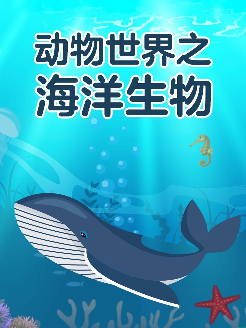 动物世界之海洋生物