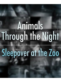 Sleepover at the Zoo