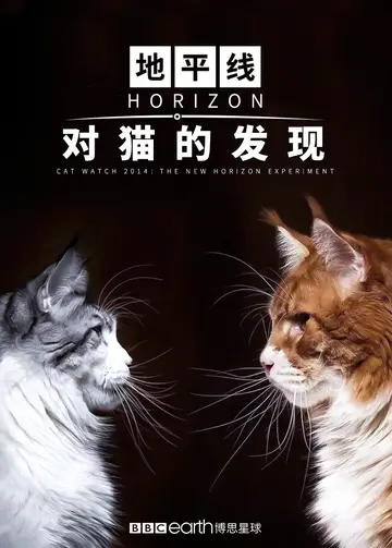 地平线对猫的发现