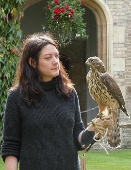 H 代表鹰:新篇章