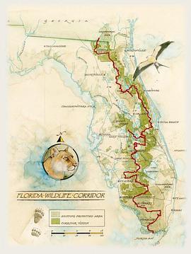 thefloridawildlifecorridorexpeditionevergladestookefenokee