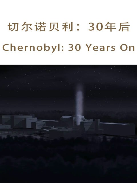 切尔诺贝利后