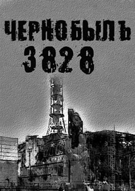 чорнобиль3828