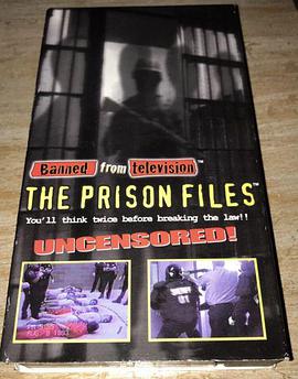 禁止电视监狱文件