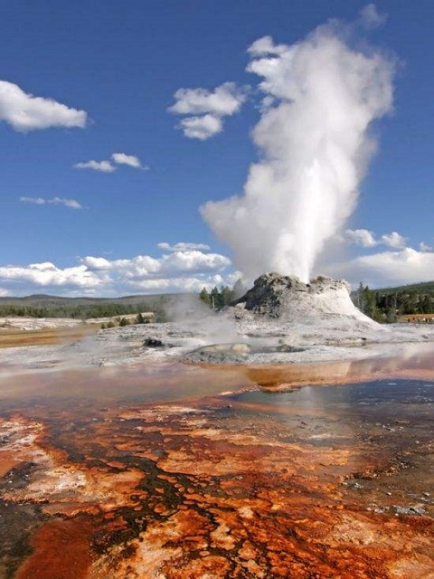 野生生物走出寒冷进入火焰黄石超级火山