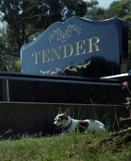 Tender