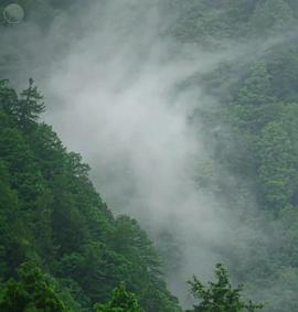 日本印象派水光和鸣