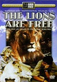 thelionsarefree