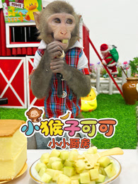 小猴子可可小小厨房