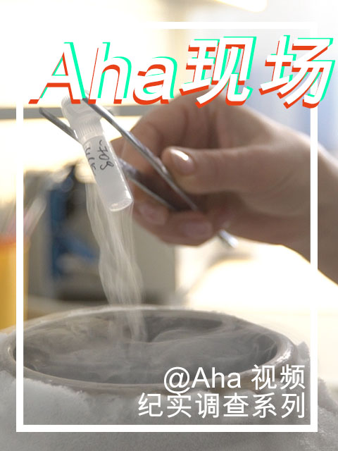 aha现场