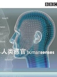 人类的感官