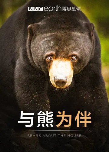 与熊为伴