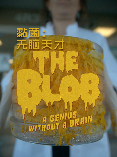 黏菌无脑天才theblobageniuswithoutabrain