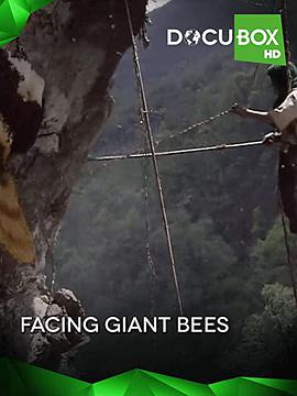 facingthegiantbees