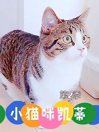 小猫咪凯蒂第二季