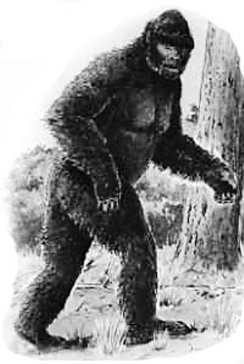 我们一起追的怪事