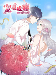 宠妻成瘾陆少的心尖宠第一季