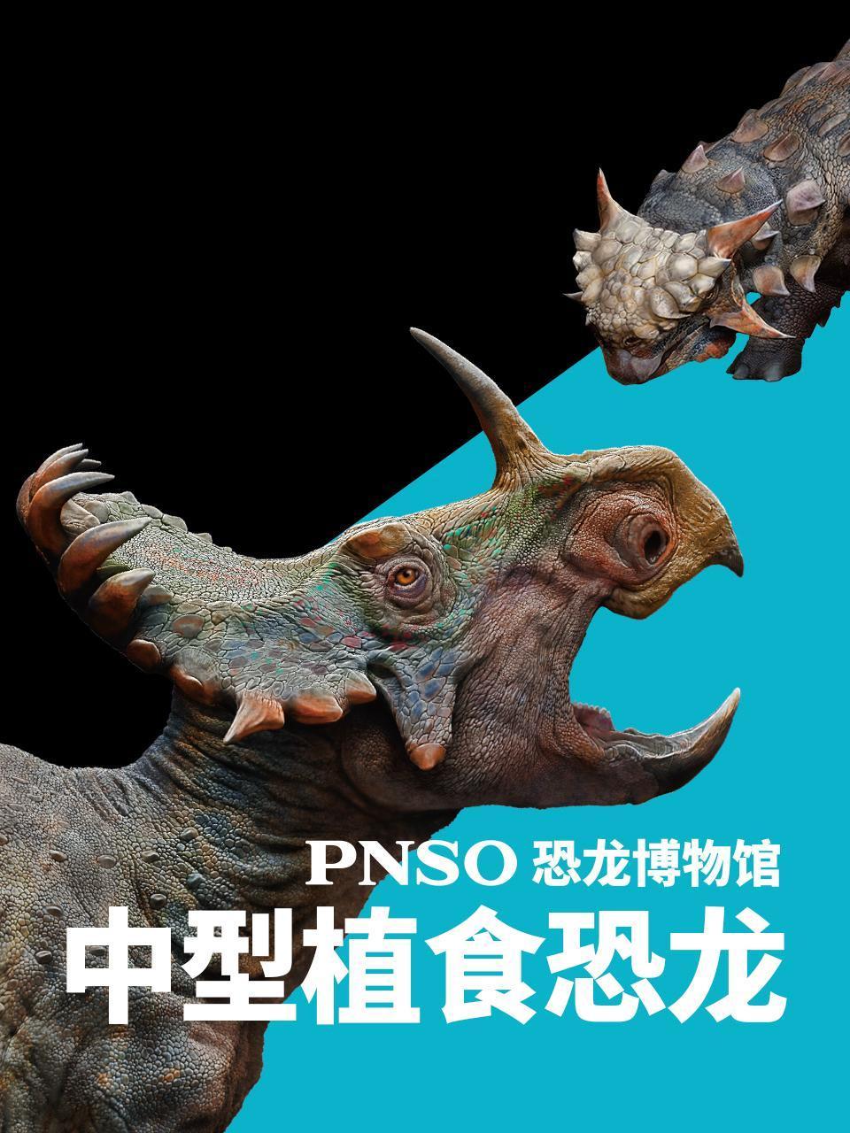 pnso恐龙博物馆中型植食恐龙