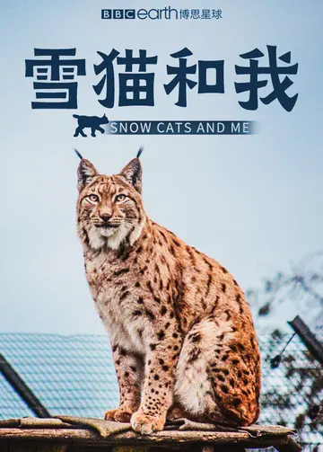 雪猫和我