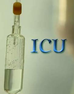 icu的日与夜