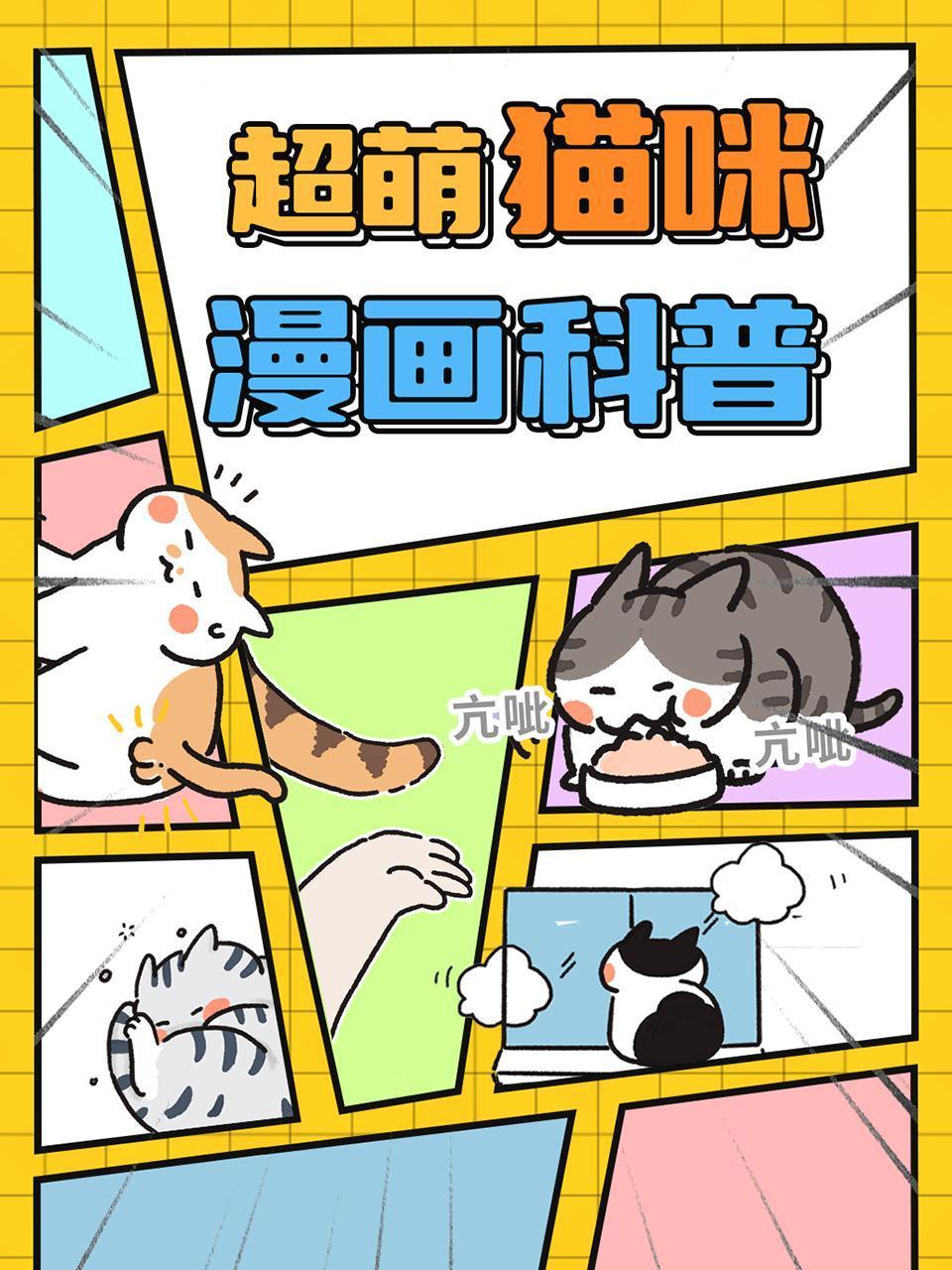 超萌猫咪漫画科普